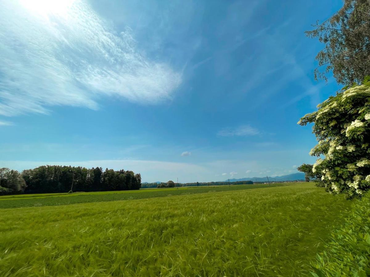 Green Oasis Garden Šenčur Exteriér fotografie