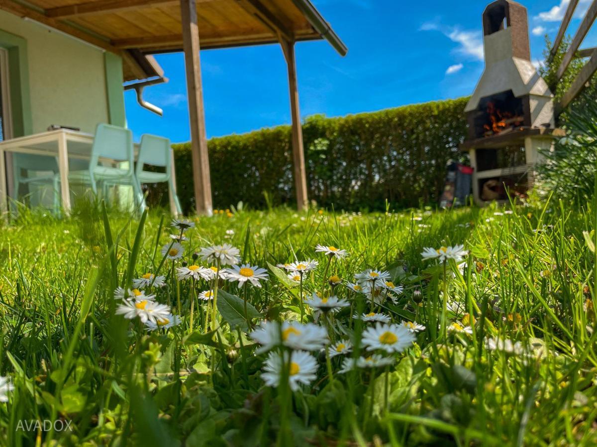 Green Oasis Garden Šenčur Exteriér fotografie