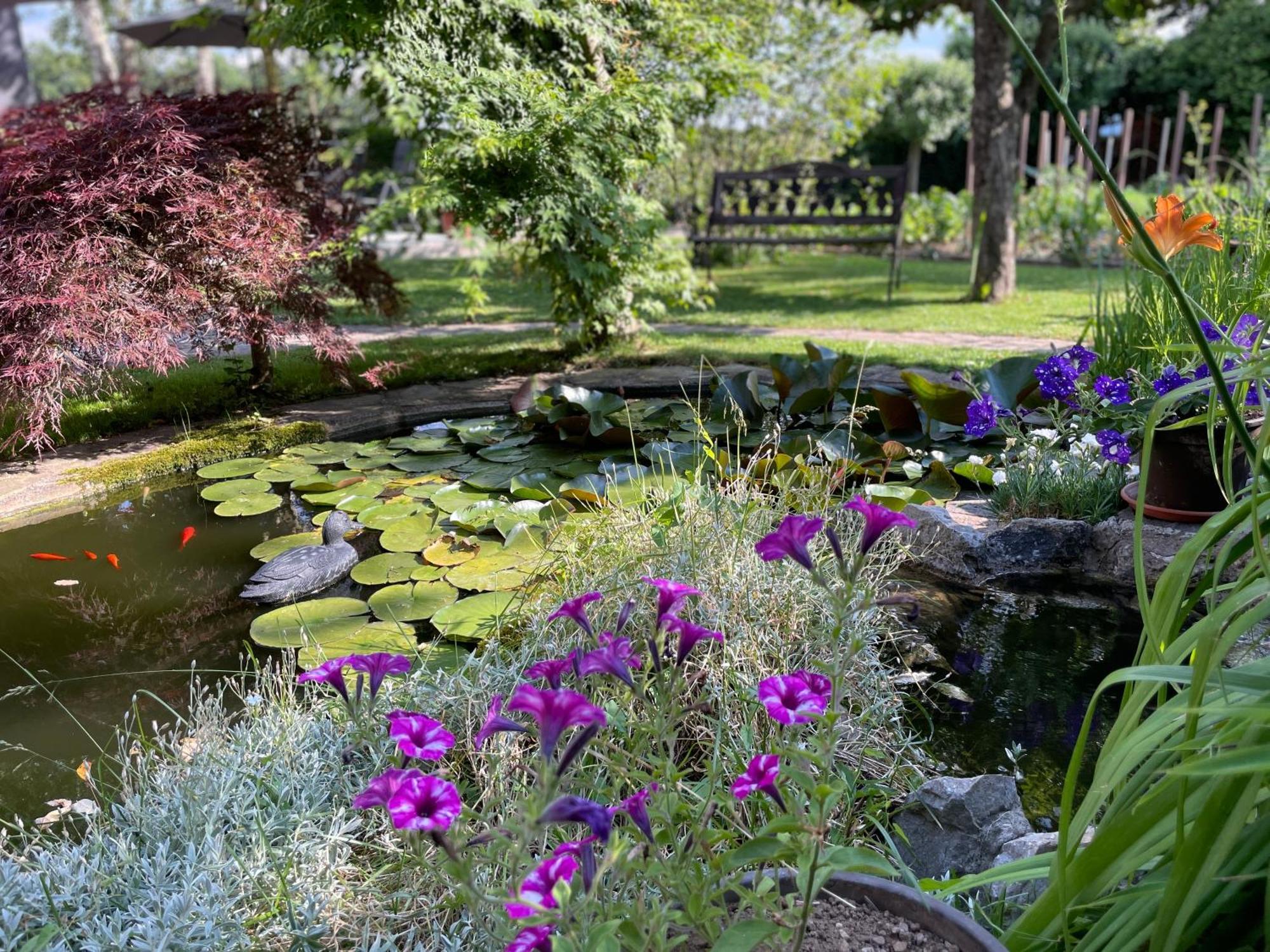 Green Oasis Garden Šenčur Exteriér fotografie