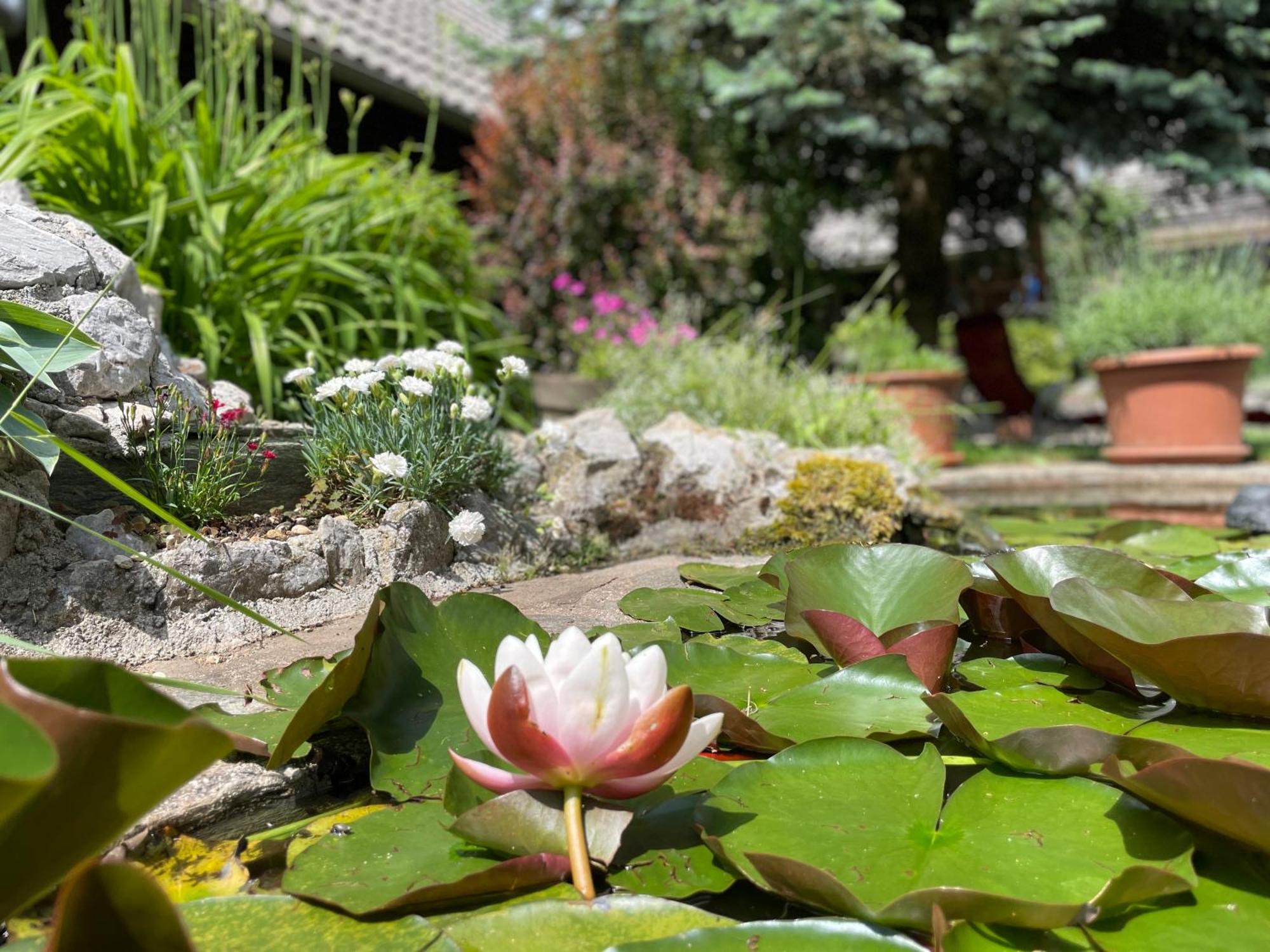 Green Oasis Garden Šenčur Exteriér fotografie