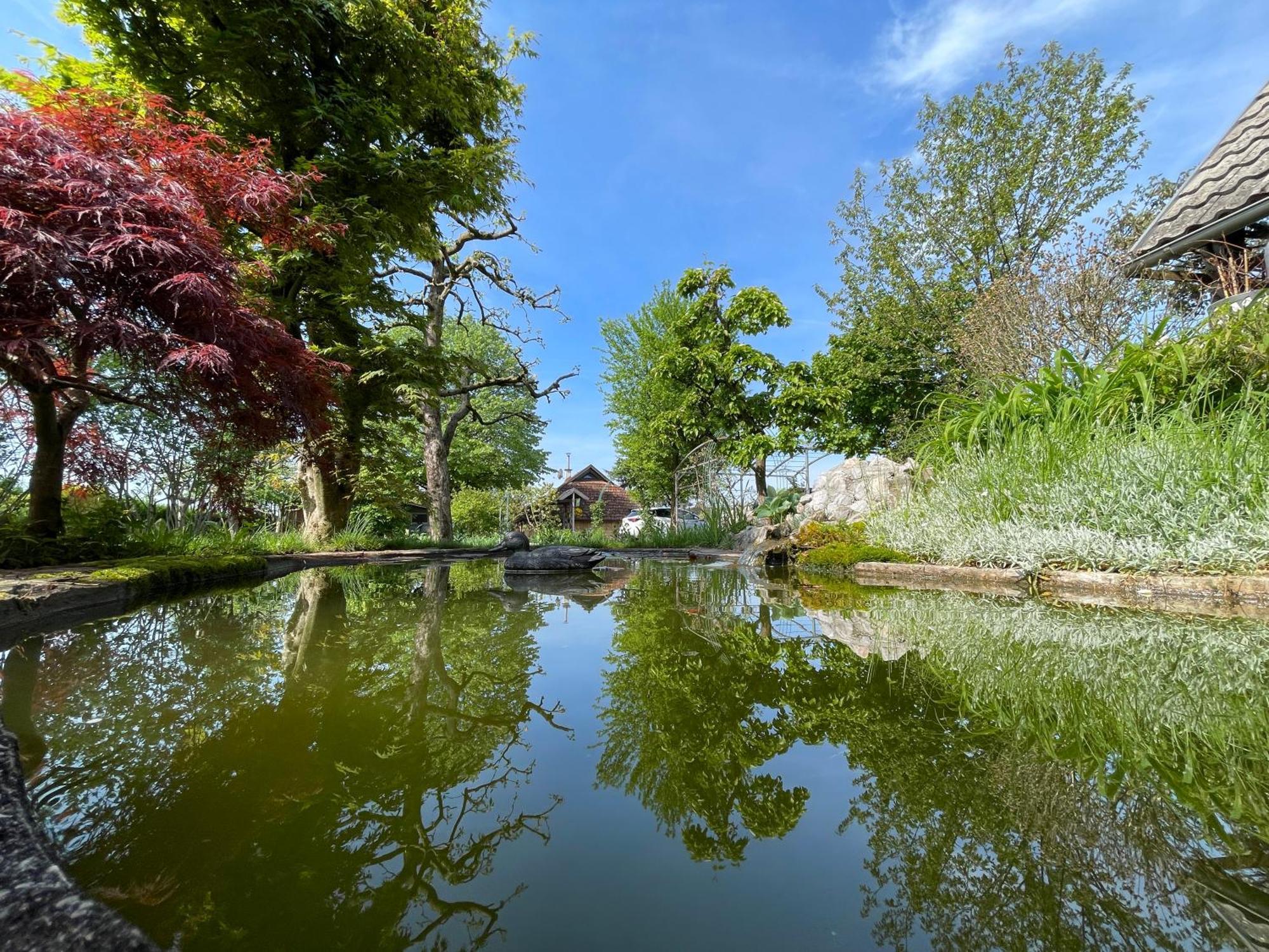 Green Oasis Garden Šenčur Exteriér fotografie