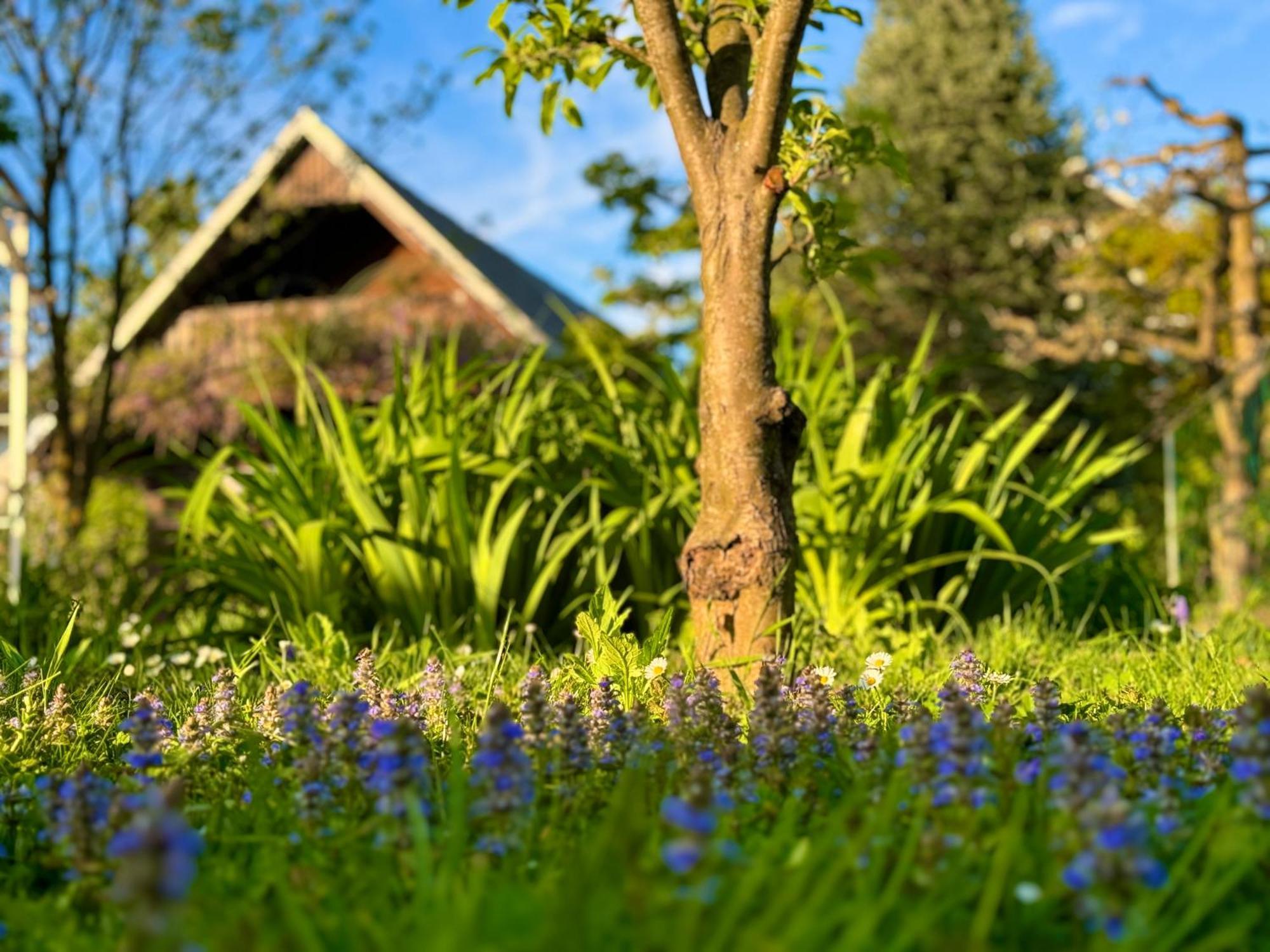 Green Oasis Garden Šenčur Exteriér fotografie