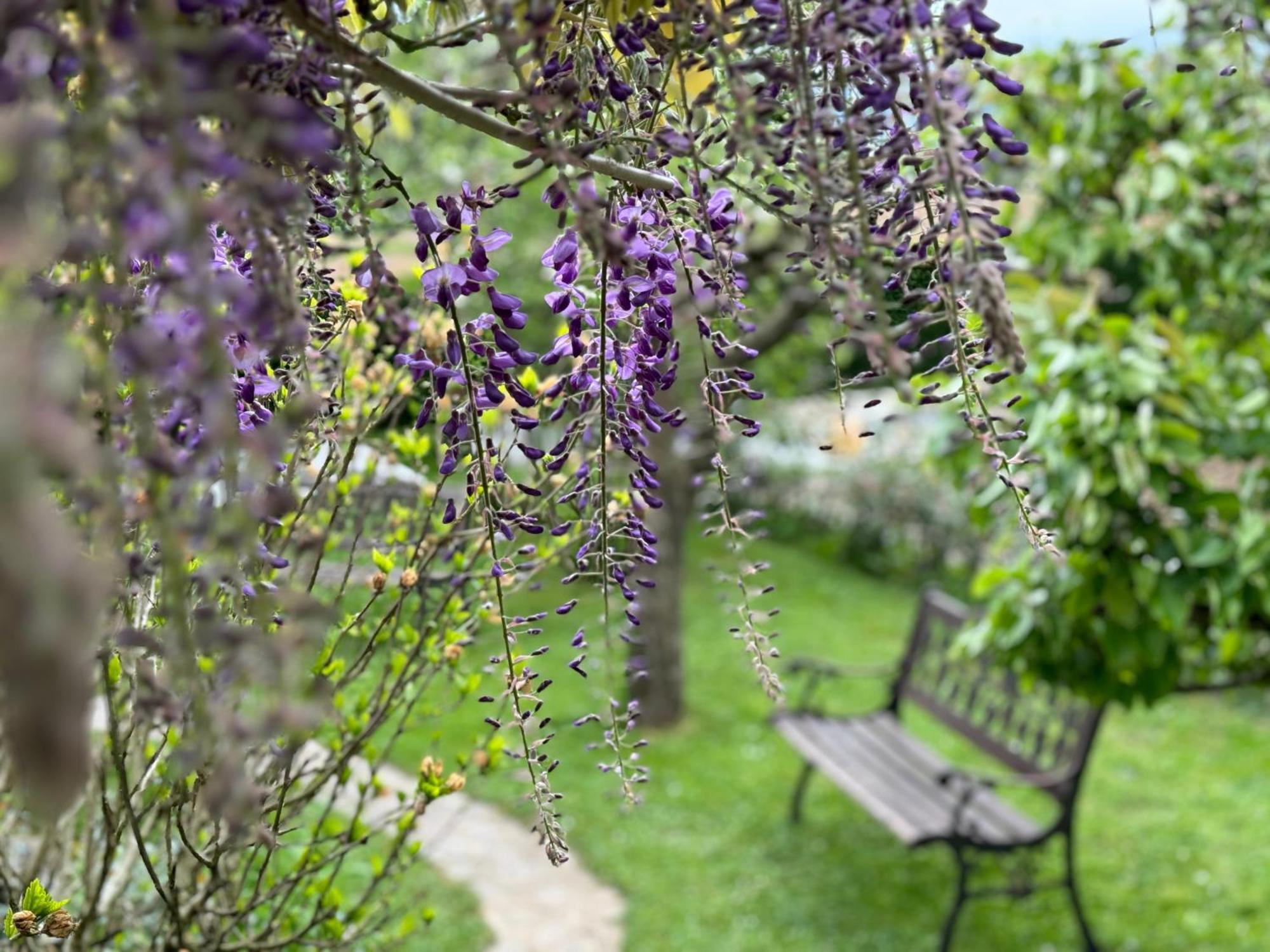 Green Oasis Garden Šenčur Exteriér fotografie